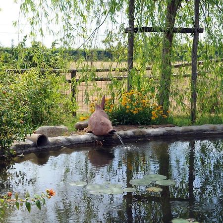 モンテスペルトリ Azienda Agrituristica Bellavistaヴィラ エクステリア 写真