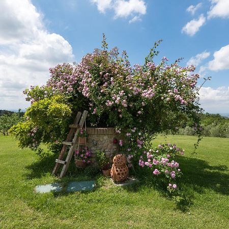モンテスペルトリ Azienda Agrituristica Bellavistaヴィラ エクステリア 写真