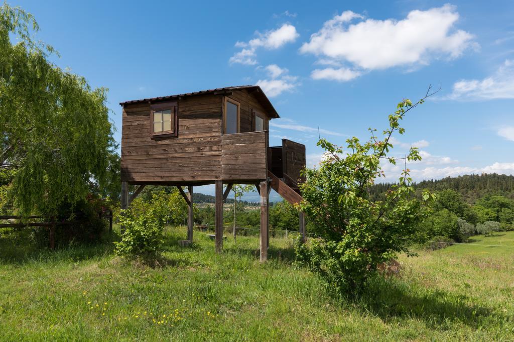 モンテスペルトリ Azienda Agrituristica Bellavistaヴィラ エクステリア 写真