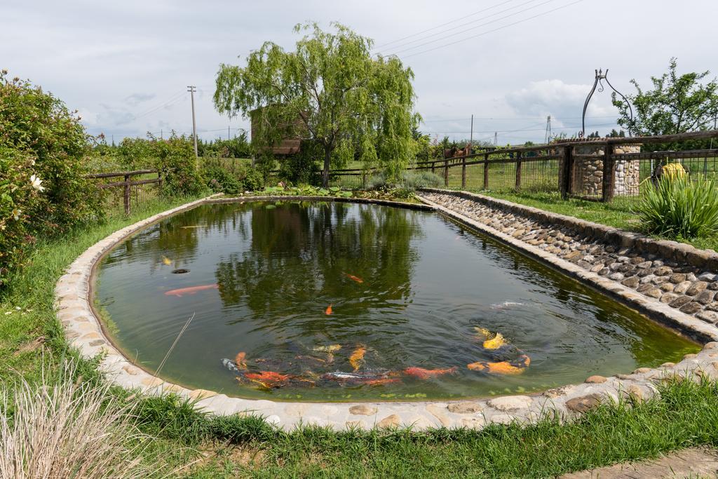 モンテスペルトリ Azienda Agrituristica Bellavistaヴィラ エクステリア 写真
